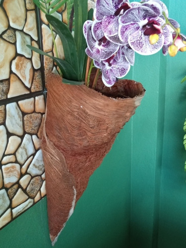 Vaso Natural Folha Coqueiro P/ Orquídeas Cone | MercadoLivre