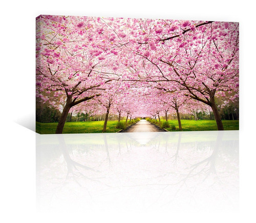 Cuadro Decorativo Naturaleza Canvas Bosque Camino De Cerezos