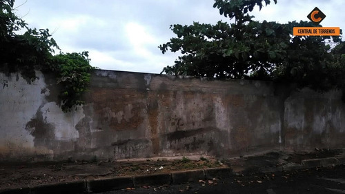 Imagem 3 de 8 de Terreno Em Pituaçu - Te00277 - 34461876