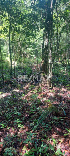 En Venta Amplio Terreno Ejidal Ubicado En Muyil, Tulum.