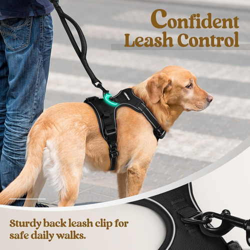 Arnes Para Perro Rabbitgoo No Pull Ajustable Con 2 Clips L