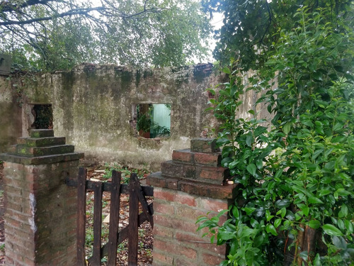 Imagen 4 de 13 de Terreno En Venta En Vicente Casares