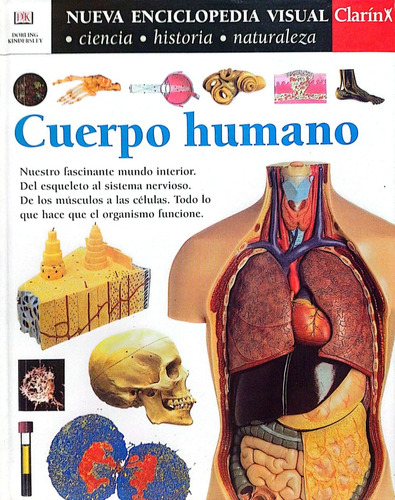 Cuerpo Humano      Nueva Enciclopedia Visual Clarin     N° 1