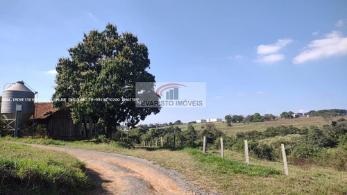 Imagem 9 de 15 de Chácara Para Venda, Bairro Do Pinhal - 4146_1-1952781