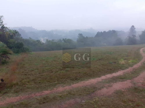 Imagem 16 de 17 de Terreno À Venda, 5000 M² Por R$ 150.000,00 - Espigão - Viamão/rs - Te0240