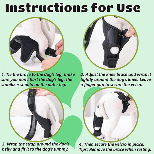 Rodillera Para Perros Para Patas Traseras Desgarradas