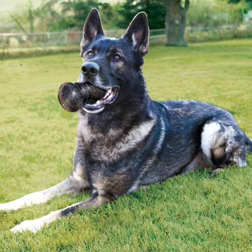 Imagen 4 de 8 de Kong Duramax Ball Juguete Pelota Perros Medium-