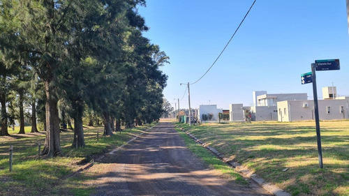 Imagen 7 de 9 de Lote De 800m2 En El Molino, Roldan.