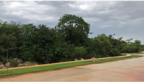 Imagen 3 de 8 de Se Vende Terreno En Esquina Privada Oasis En Yucatan Countr