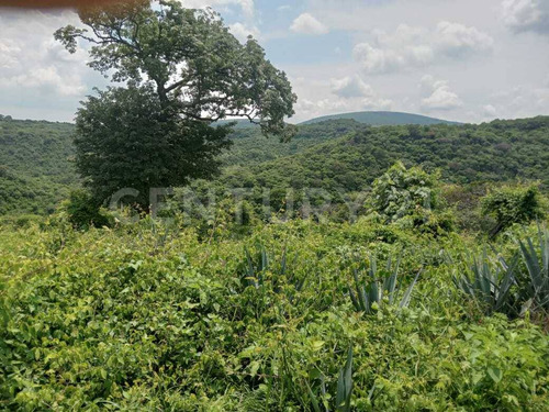 Terreno Rústico En Venta!!! Ayotlan, Jalisco