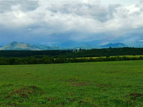 Parcelas Camino A San Fabián De Alico, Rol Propio, 5000m2