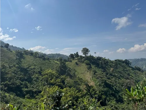 Lote En Venta En Vereda La Aurora Manizales | Venta Terreno