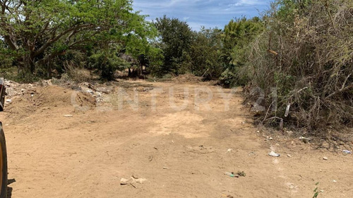 Terrenos En San Jose Del Cabo, Bcs En Ubicacion Privilegiada