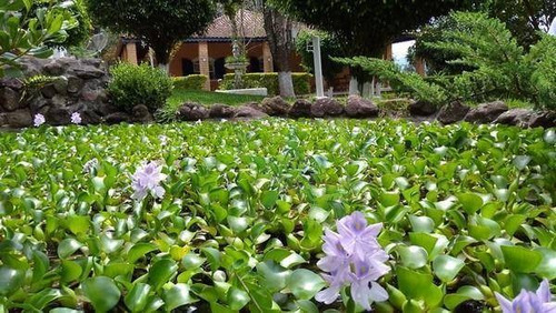 Chácara Residencial À Venda, Estância Santa Maria Do Portão, Atibaia - Ch0910. - Ch0910