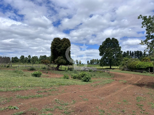 Campo De 26ha A Minutos De Fresia Con Casa