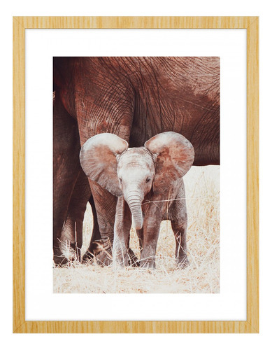 Marcos decorativos de elefantes con cristal 94 cm x 64 cm 591002