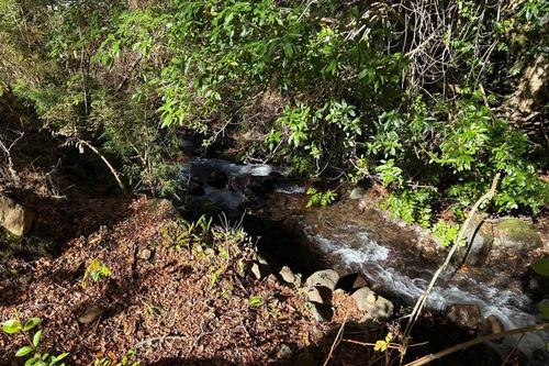 Venta Campo Curarrehue