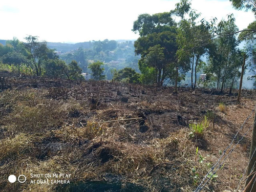 Imagem 1 de 6 de Terreno, Chácara Do Solar Ii (fazendinha), Santana De Parnaíba - R$ 350 Mil, Cod: 235328 - V235328