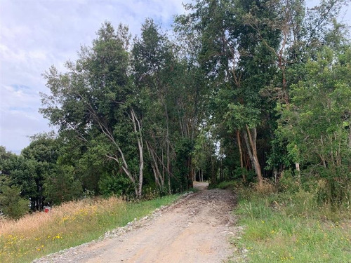 Imagen 3 de 14 de Sitio En Venta En Cascada