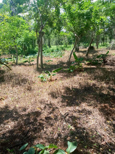 Vendo Esta Finca De 200 Tareas En Villa Mella