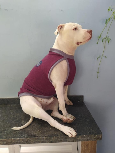 Imagem 3 de 10 de Roupa De Cachorro Médio/ Grande Frio Inverno Agasalho