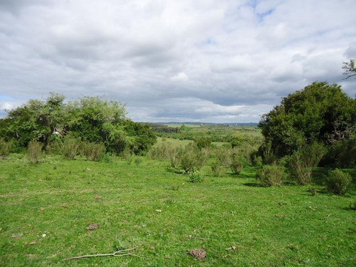 Campo En Venta En Lavalleja. 37 Hectáreas.