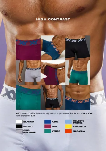 Boxer xy 1387 sale