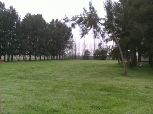Imagen 2 de 9 de 900 Has Ganaderas Magdalena