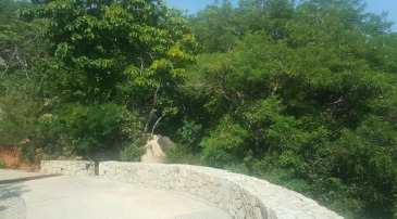 Imagen 5 de 13 de Punta Diamante, Terreno, Venta, Acapulco, Guerrero