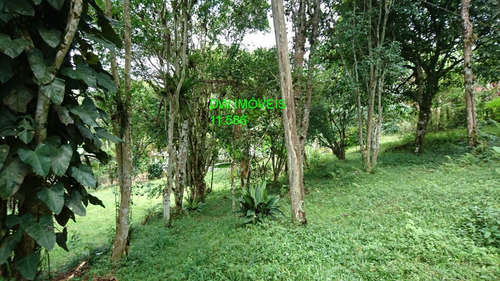 Chacara - 04965 - 67614883