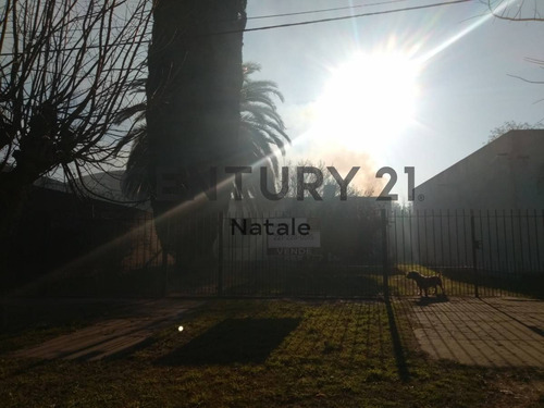 Imagen 3 de 14 de Lote En Venta. 524 E/ 134 Y 135. San Carlos, La Plata