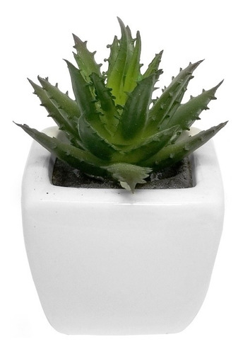 Suculenta Plantita Decorativa Maceta Ceramica 5x5cm 