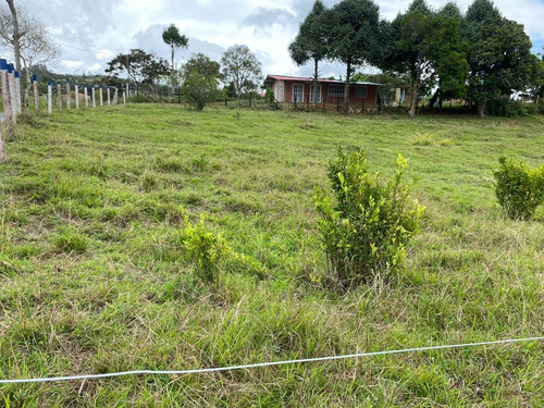 Imagen 11 de 14 de Lote De Terreno