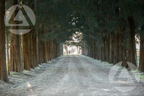 Imagen 8 de 15 de Barrio Privado Lares De Canning - Canning