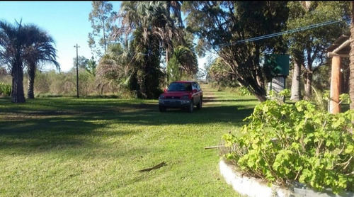 Imagen 13 de 13 de Venta 8,5 Has - San Jose - E.r.