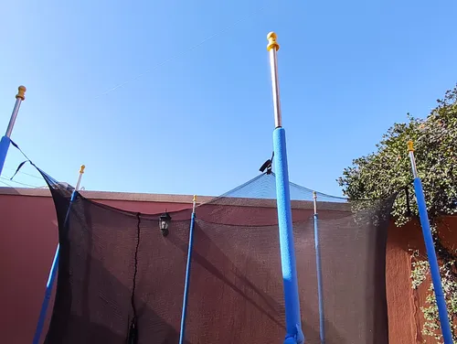 Cama Elastica Airzone Jump (Usado)