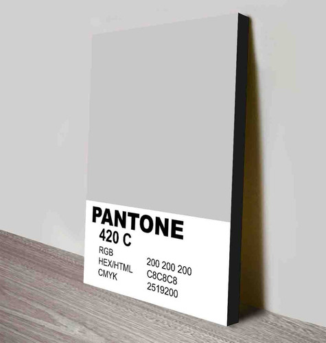Cuadro De Color Pantone 420 C -  Gris - De 33x48 Cm 