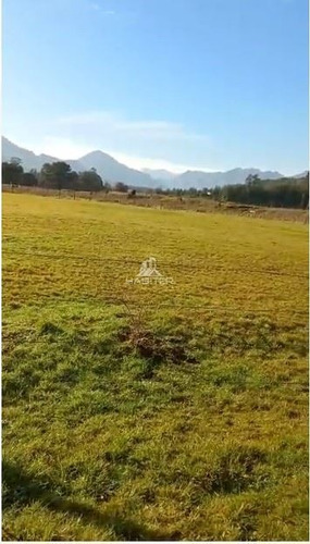 Imagen 15 de 23 de Agrícola En Venta En Puerto Montt