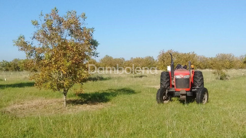 Imagen 16 de 25 de Terreno En Venta O Permuta Ubicado En Punta Indio, Resto De La Provincia