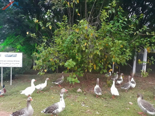 Imagem 14 de 20 de Casa A Venda No Bairro Jardim Residencial Villa Amato Em - Ca 186-1