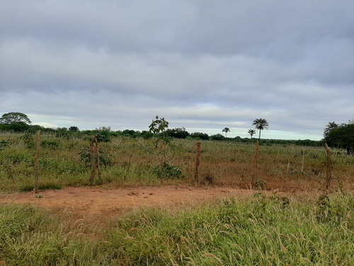 Imagem 1 de 10 de Propiedade Para Criar E Para Agricultura