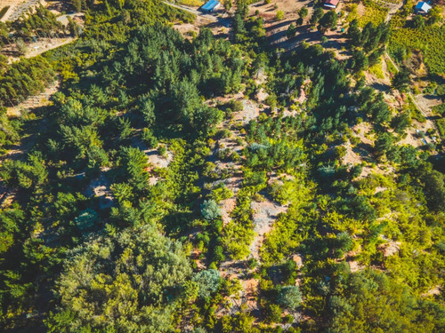 Parcela Forestal En Ñipas, Ranquil.