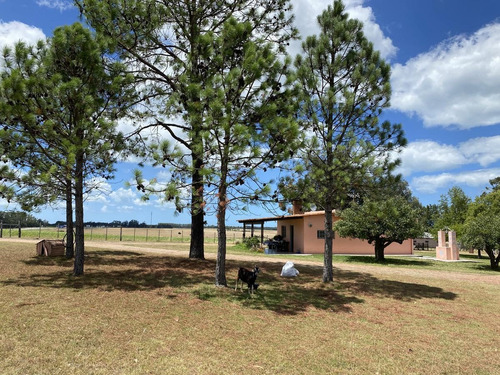 Imagen 13 de 14 de Chacra A La Venta Sobre Ruta Interbalnearia Excelente Ubicación 36há O Fracción