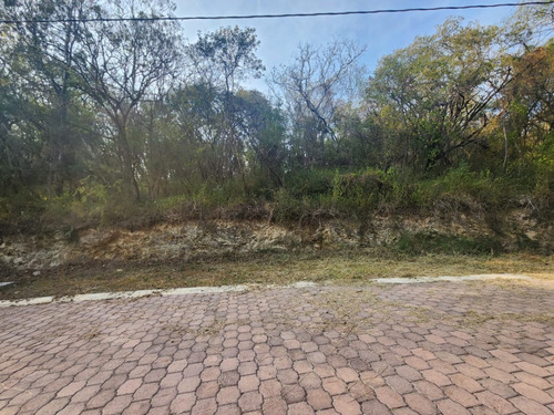 Venta Lote Gladiola 31 Muy Cerca De La Entrada Y En Nueva Zona De Fracc Rancho San Diego Ixtapan De La Sal Edomex Con Todos Los Servicios Y Proyecto Incluído