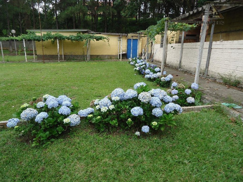 Chácara Rural À Venda, Jardim Jóia, Arujá - Ch0034. - Ch0034