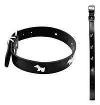 Comprar Pack X 10 Collares Pawfy Antiansiedad 46cm Varios Colores.