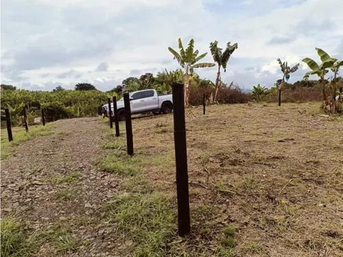 Se Venden Lotes En Quimbaya - Quindío