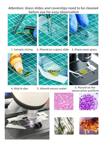 Portaobjetos Y Cubreobjetos De Microscopio En Blanco, 50