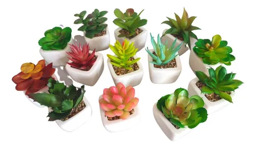 comprar 6 Suculentas Cactos Plantas Artificiais Vasinhos Mini Vasos