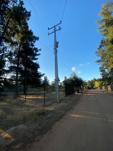 Pinares De Algarrobo / Rol Propio